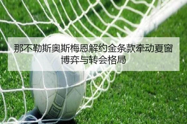 那不勒斯奥斯梅恩解约金条款牵动夏窗博弈与转会格局